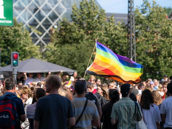 Coffret dégustation de rhum: guide essentiel et comparatif